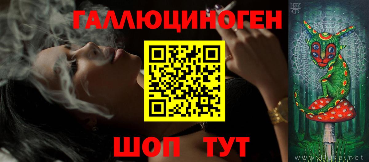 НБОМе Лесосибирск